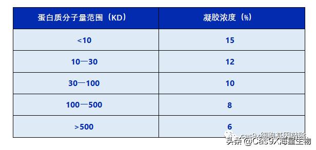 westernblot详细步骤,westernblot实验教学