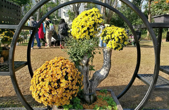 深圳美人鱼拍摄地要门票吗,美人鱼拍摄地点在深圳哪里