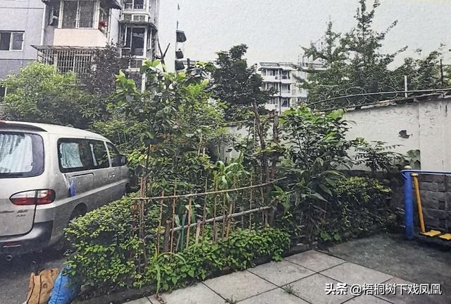 农民挖出古墓毁坏尸体,黄忠的墓被挖出来的视频