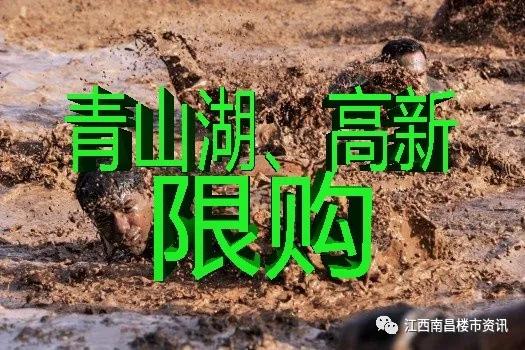 南昌青山湖区改善楼盘,南昌青山湖值得入手的楼盘