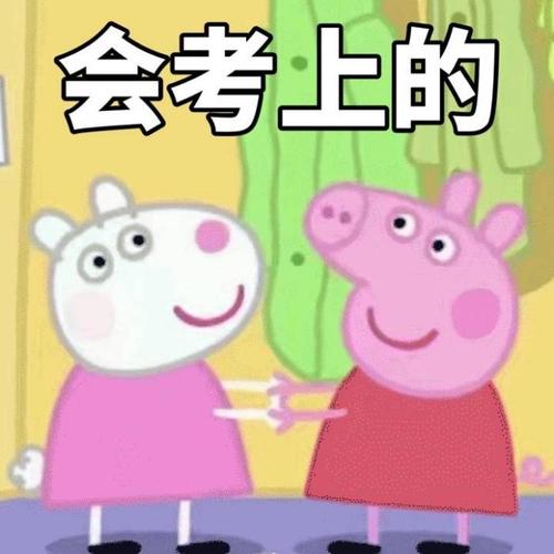 乐橙网校中级会计财务管理,中级会计师财务管理一科谁讲得好