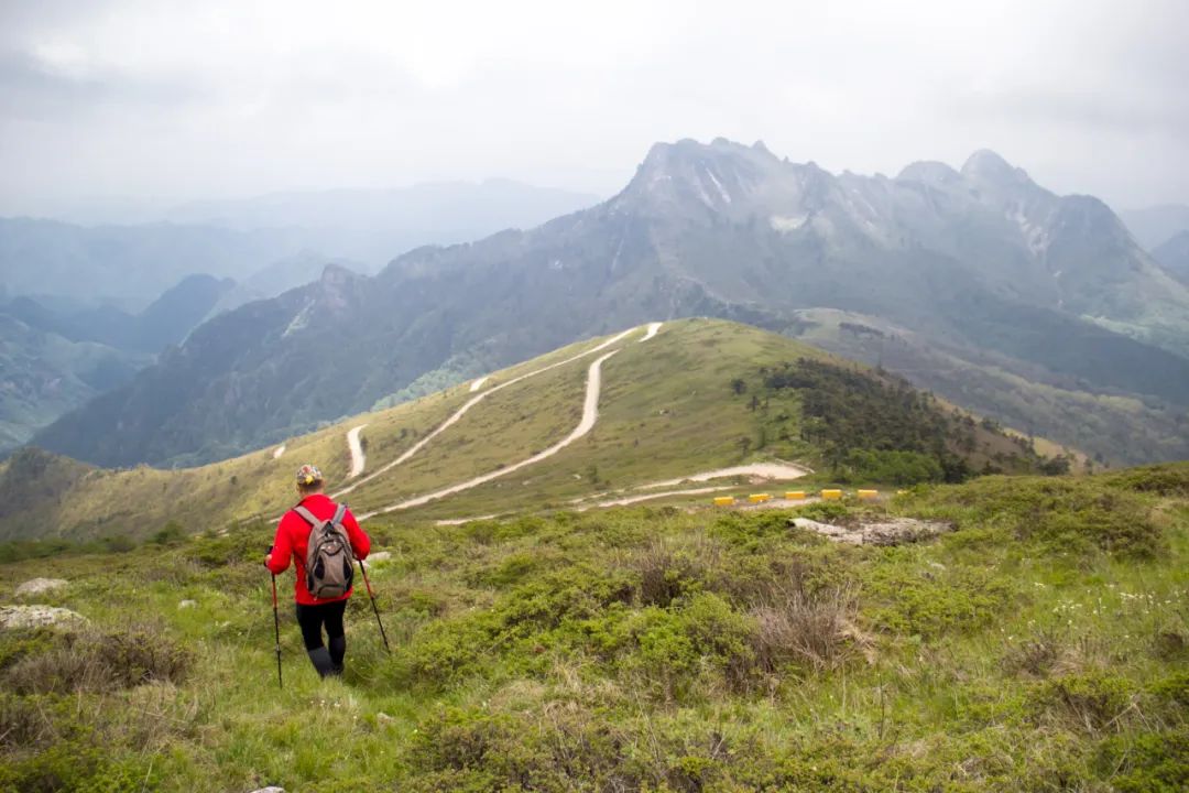 秦岭光头山至鹿角梁穿越路线,秦岭西观音山徒步登山路线攻略