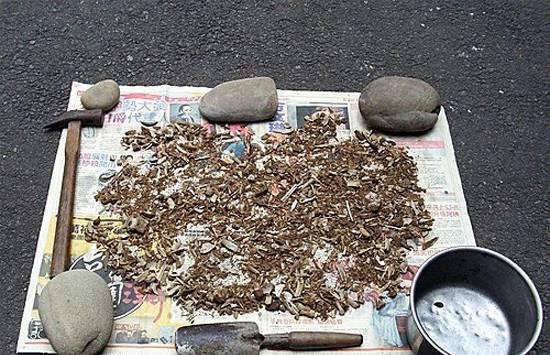 骨头能当养花的肥料吗,吃完的骨头不要扔