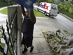 今天下单到过年能收到货吗,今天下单的商品明天正常到货