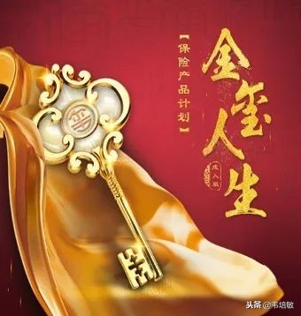 骞冲畨閲戠幒浜虹敓鍒嗙孩,骞冲畨閲戠幒浜虹敓鎶曚繚骞撮緞