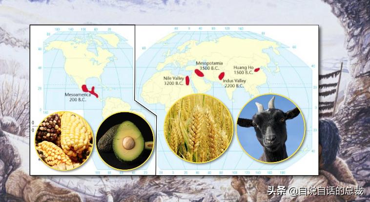 牛油果是坏了吗,牛油果几十年前