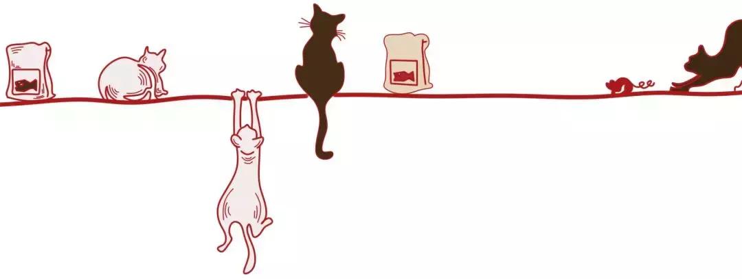 怀孕了还是想养猫猫狗狗怎么办?华西专家:可以养,但绝不能随便养!