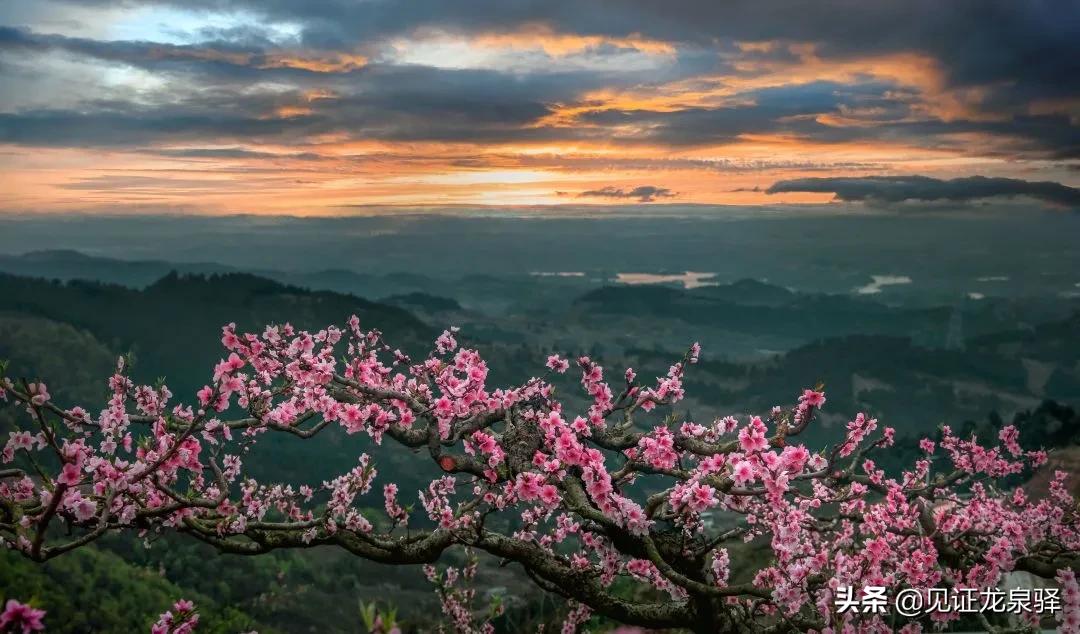 美成仙境,美成了仙境