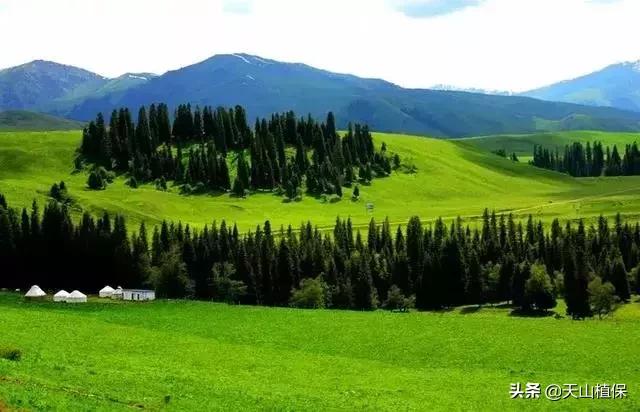 大美新疆百里画廊,北疆千里画廊打卡点