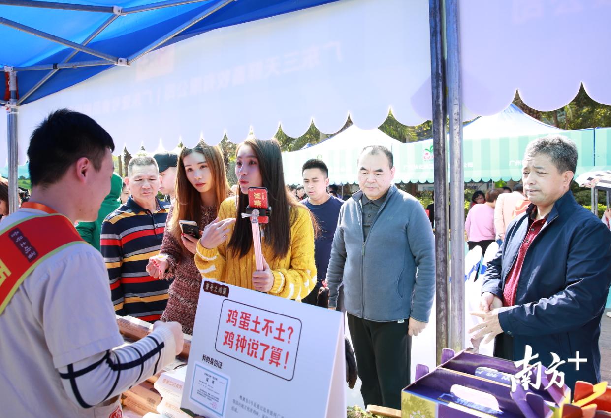 广州从化名优农产品,广州从化好吃的荔枝