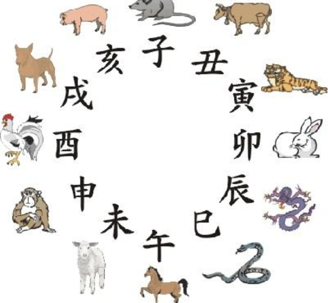 月天干地支和日天干地支怎么来的,天干地支和天干地支有什么区别