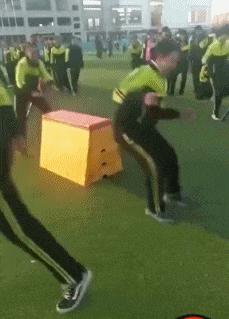 这只鹦鹉一直以为他是一只猴,所以每天都在重复做这个动作