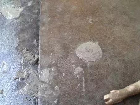 猪增生性回肠炎临床症状,圆环引起中大猪的增生性肠炎