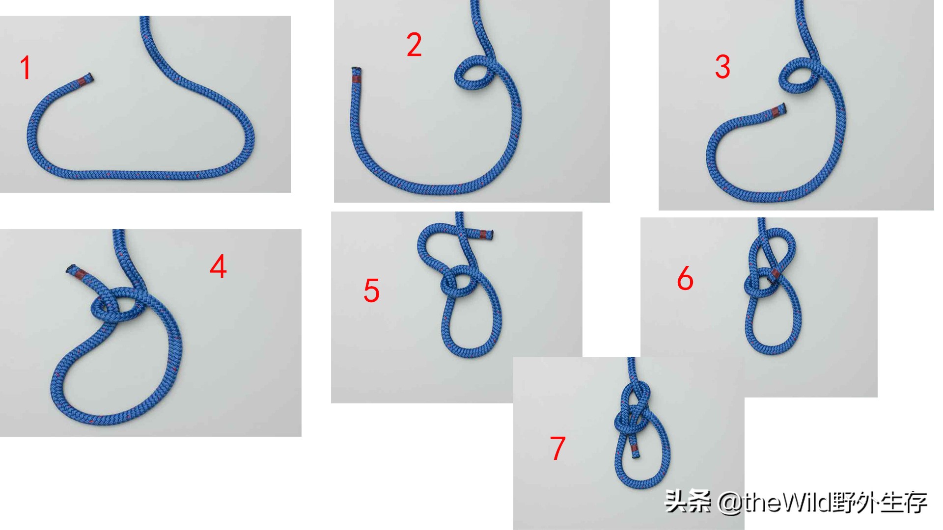 户外求生如何打绳结,野外生存25种绳结打法