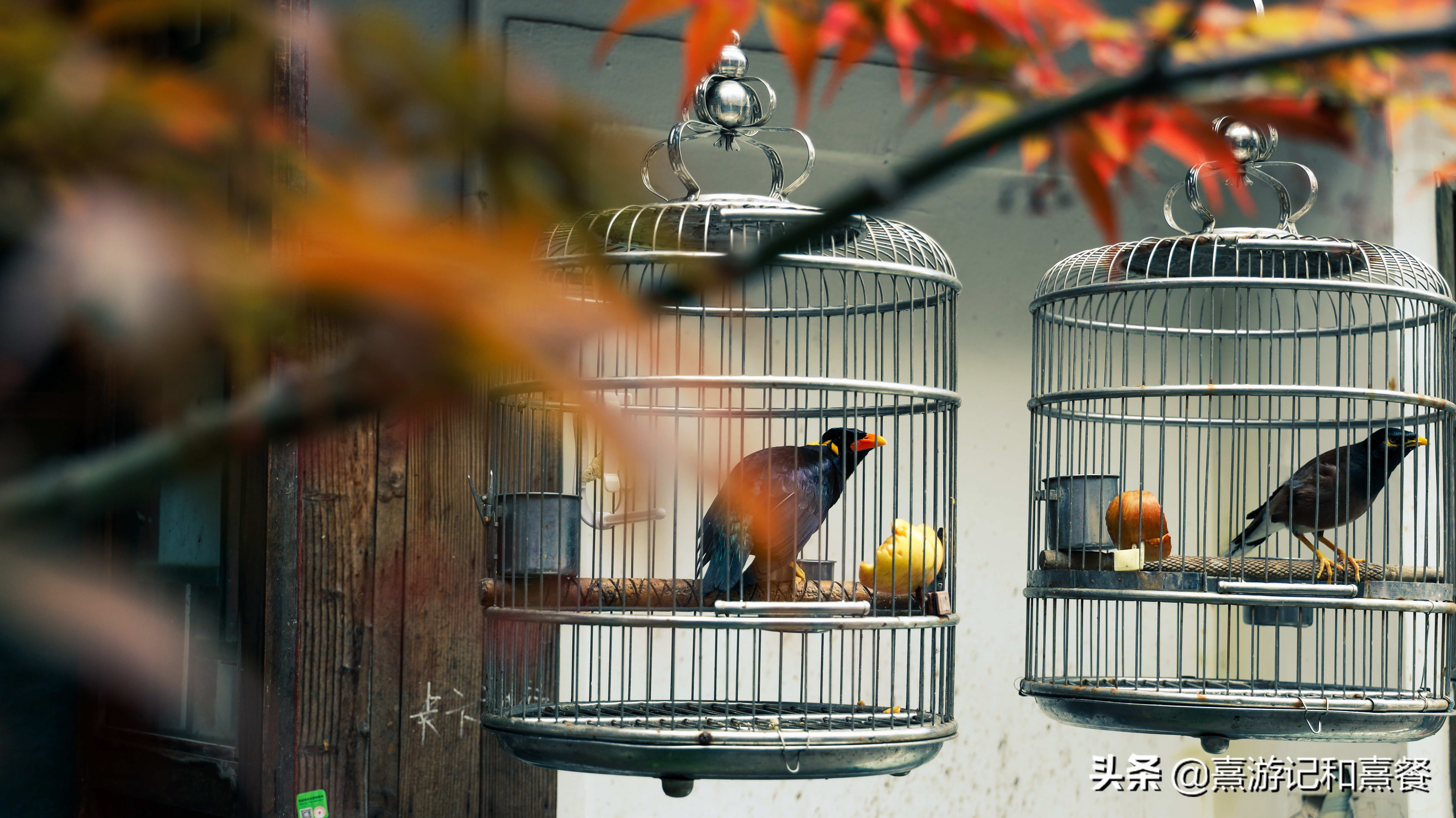 朱家角古镇游玩攻略,朱家角古镇逛吃