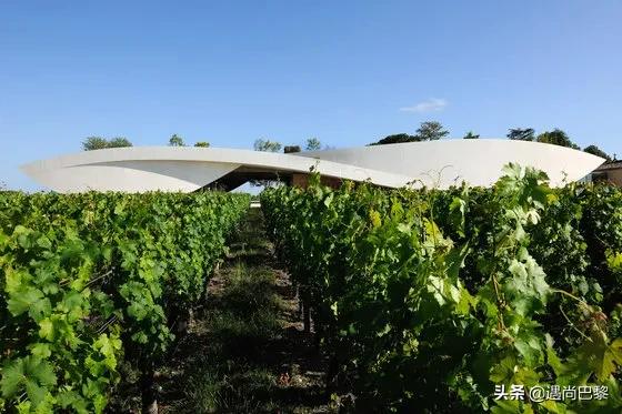 奢侈名酒葡萄酒,奢侈级别红酒