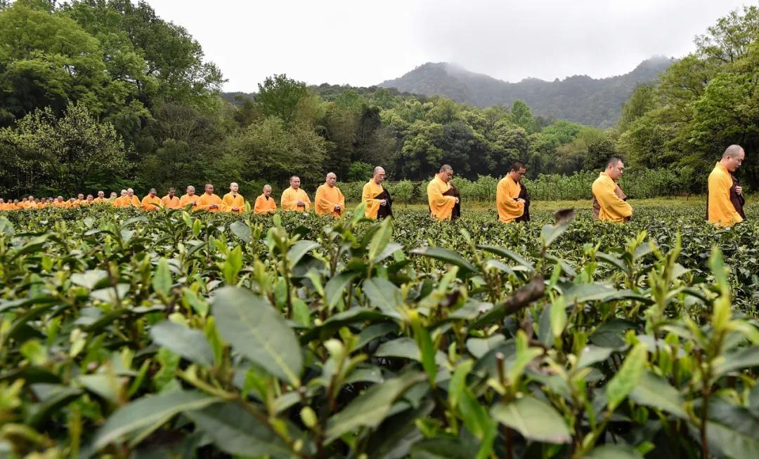 杭州出家,杭州出家需要什么条件