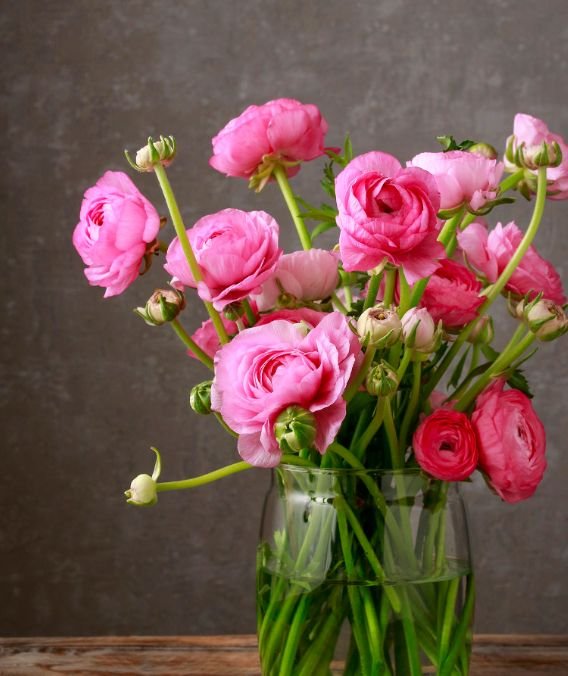 养花晚上浇水好还是早上浇水好,夏天养花怎么浇水最好