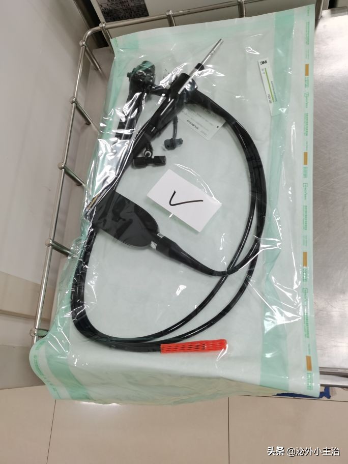 沈阳两天一夜旅游,沈阳之旅攻略