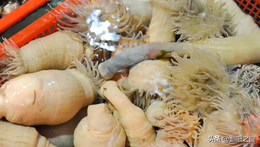 冬季连云港花果山旅游攻略,连云港花果山旅游攻略吃住