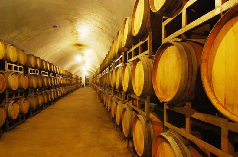 波尔多葡萄酒博物馆特点,了解葡萄酒用什么软件