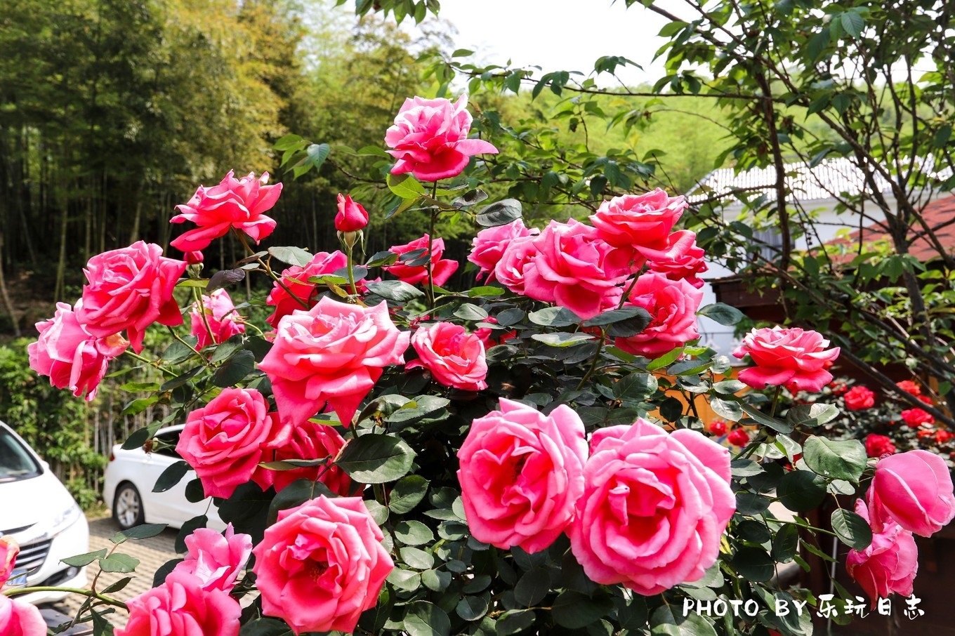 郴州最好的民宿排行榜,郴州山上的民宿推荐