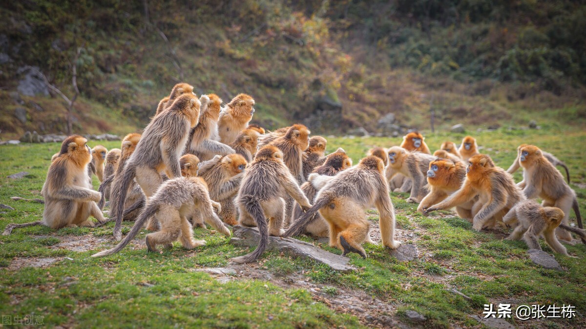 浜斾竴钀嶄埂鏃呮父鏀荤暐鏅偣蹇呭幓鎺ㄨ崘,浜斾竴鏈熼棿鍘昏タ婀栨梾娓告櫙鐐瑰厤璐瑰悧