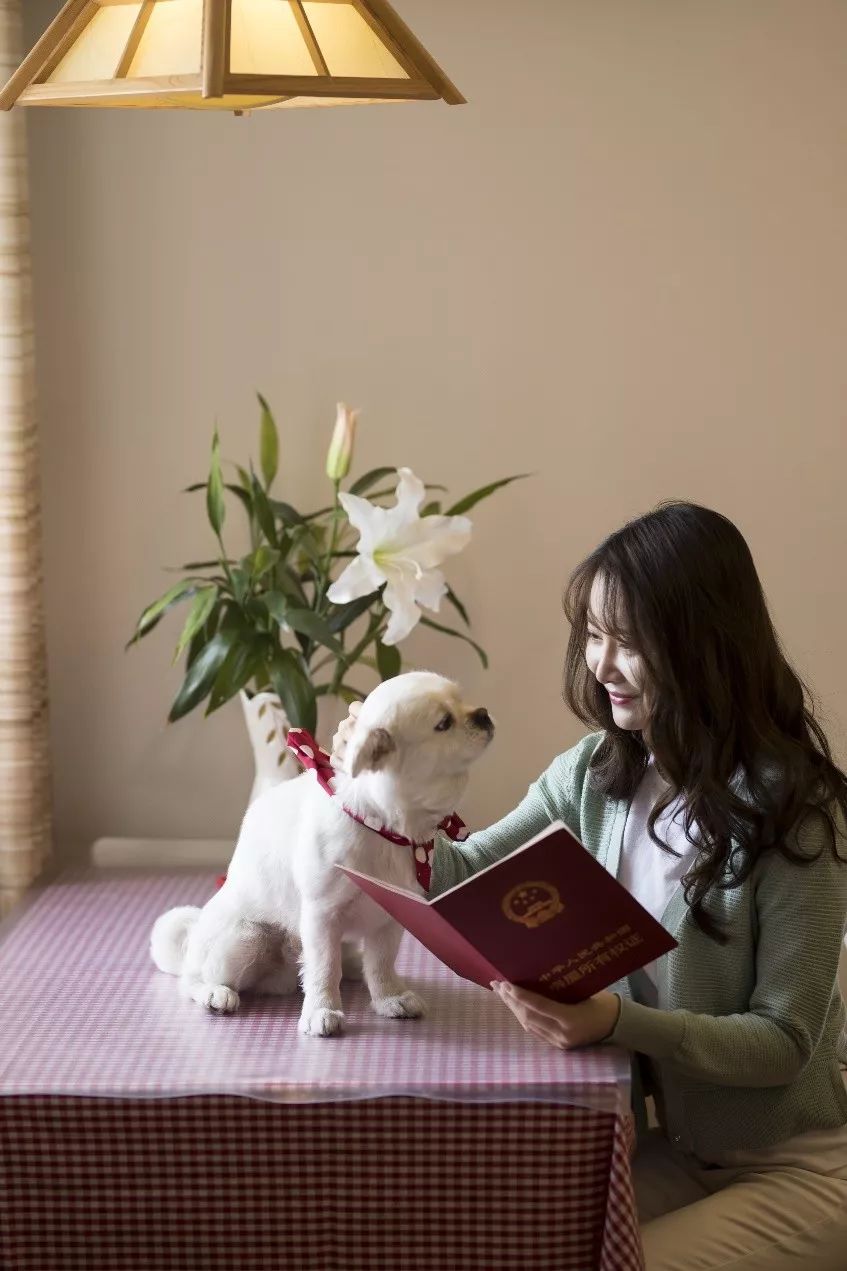 宜信普惠目前现状,宜信普惠2019年