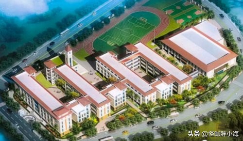 珠海金湾中心医院的发展前景,珠海金湾三灶今后有什么发展前景