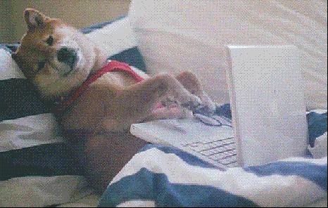 首单免费领取吗,首单免费购0元购