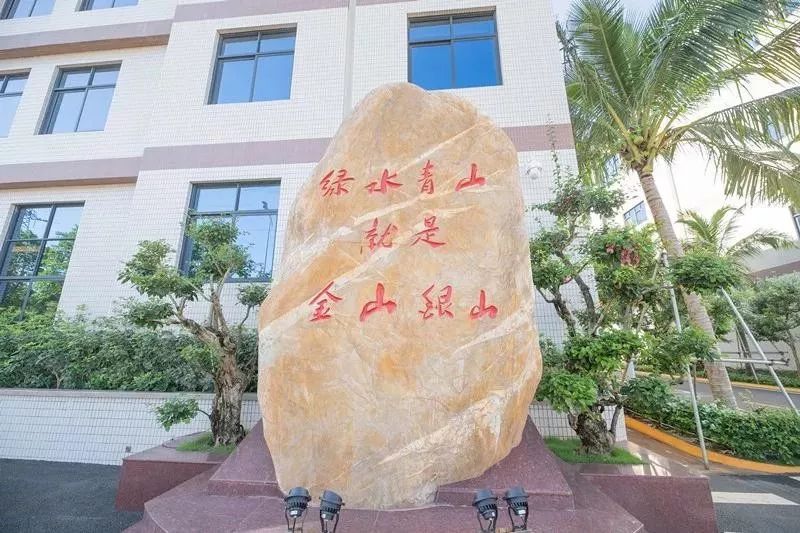 老字号推出月饼新口味你要尝尝吗,一块月饼