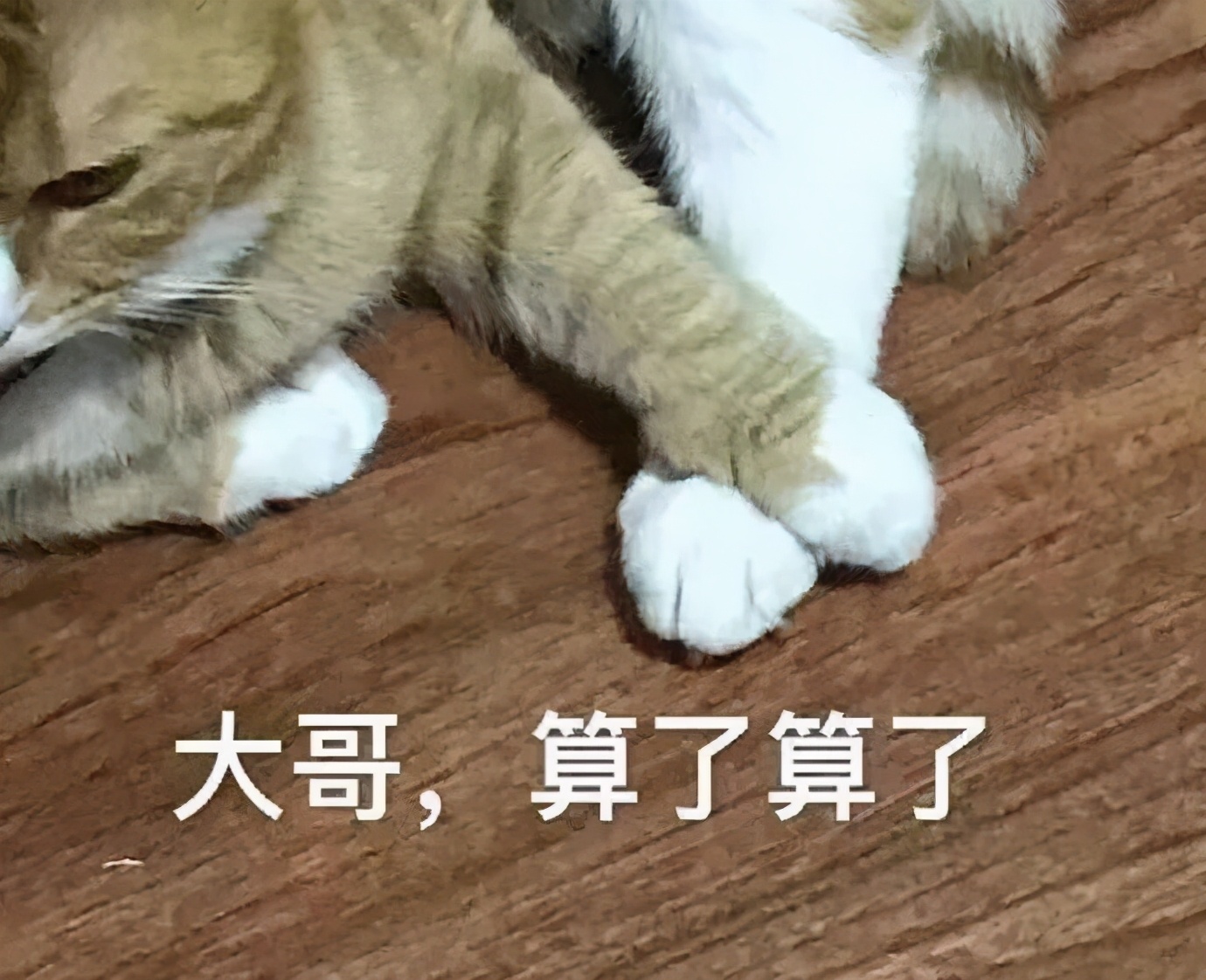 lv原单真的跟正品没差吗,有必要买正品lv吗