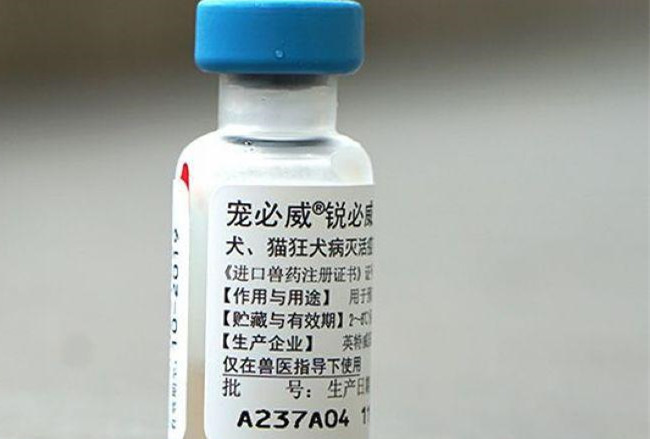 怀孕期间被狗咬了打疫苗有影响吗,怀孕八个月梦见被狗咬了