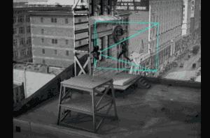 鸽子为什么这么大？懂数学的给出了答案