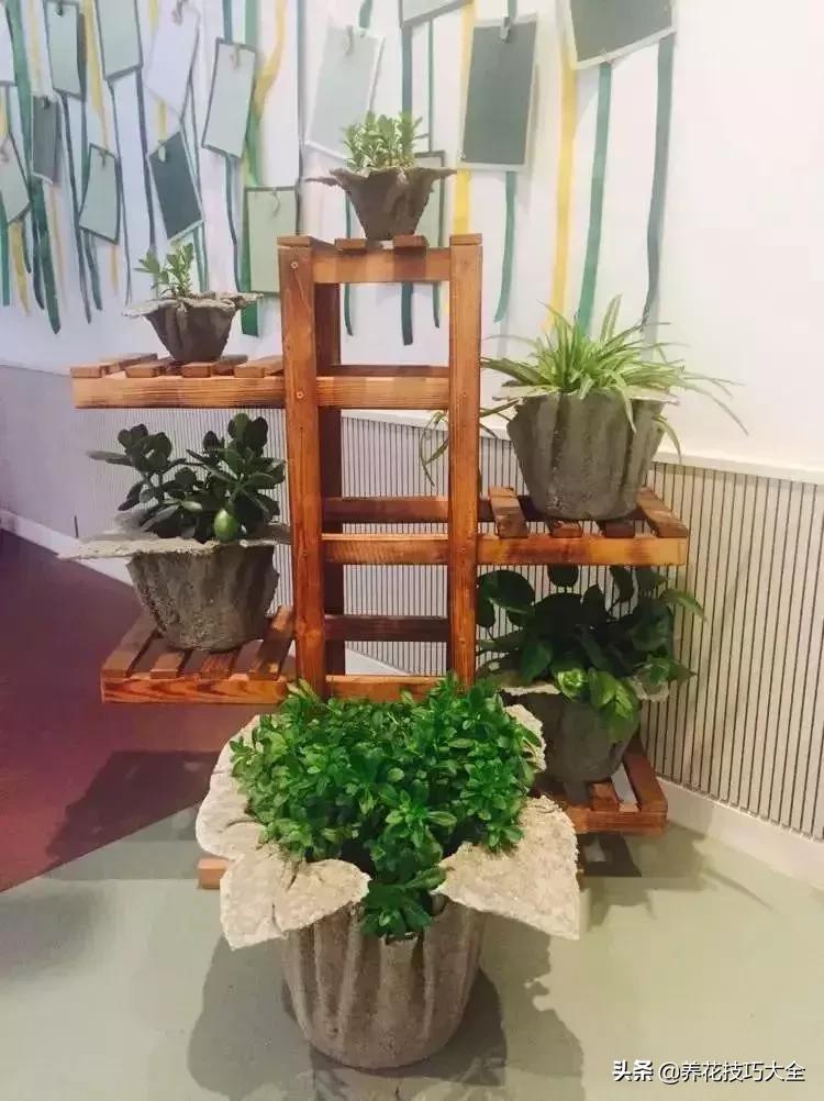 花盆5元一个,花盆不用花钱买