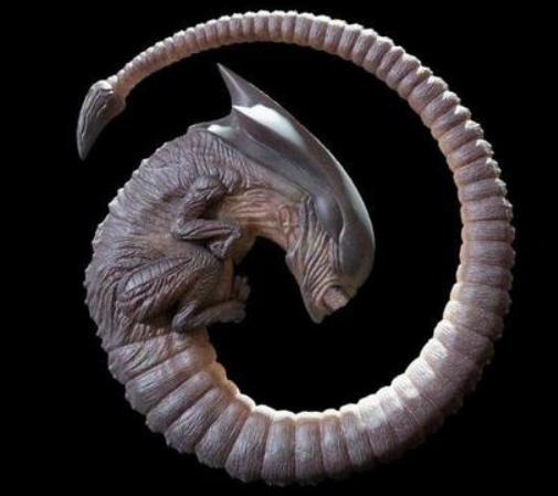 寮傚舰vs閾佽鎴樺+娣卞害瑙h,涔愰珮閾佽鎴樺+vs寮傚舰