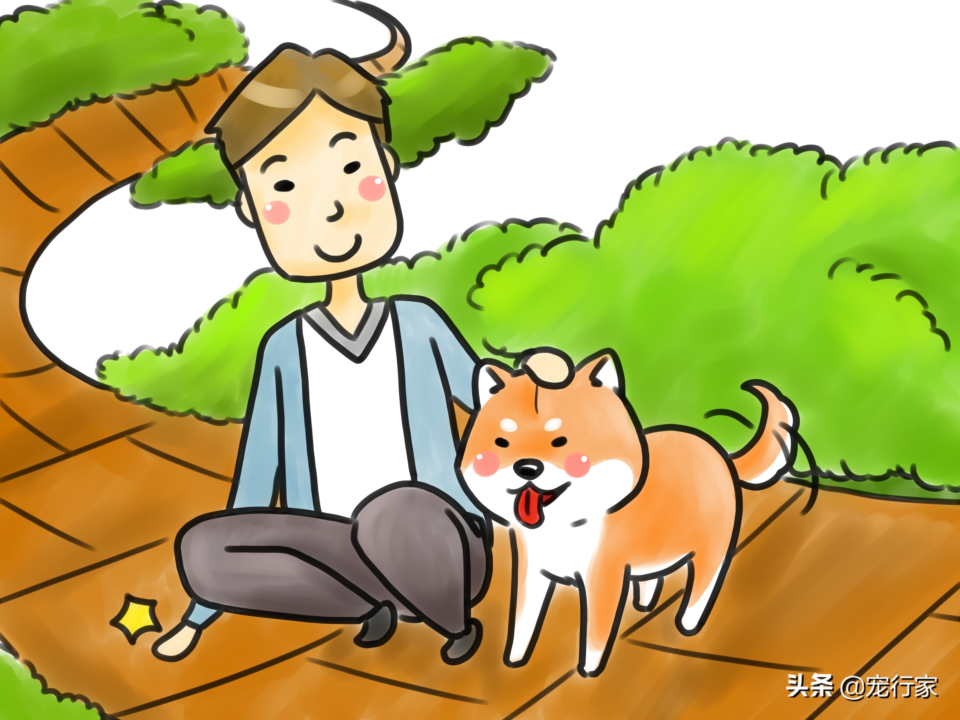 狗狗爪子指甲根部出血了怎么办,狗狗爪子受伤红肿怎么处理