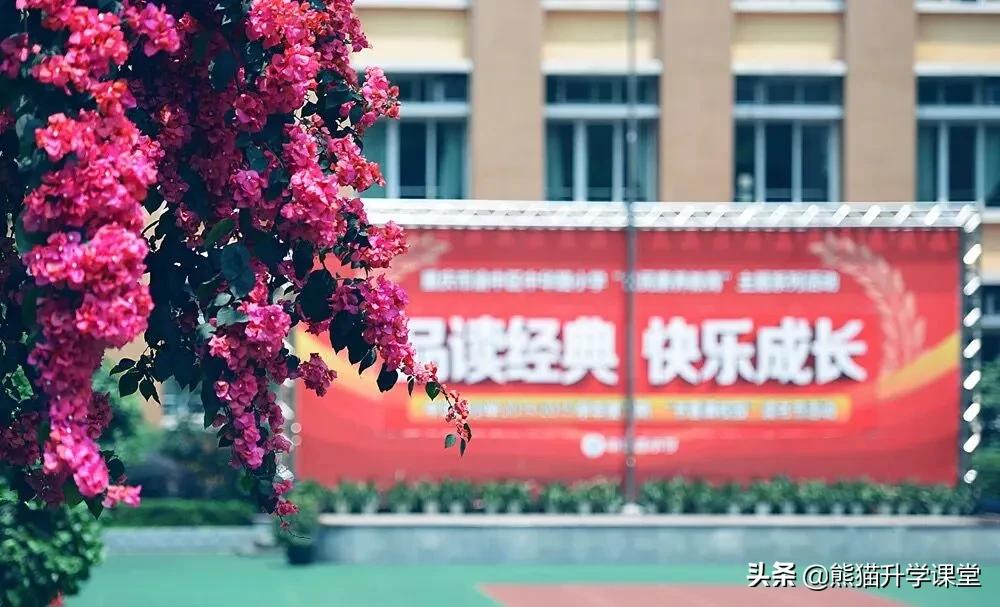 重庆中等偏上的小学,重庆各区的低调名校