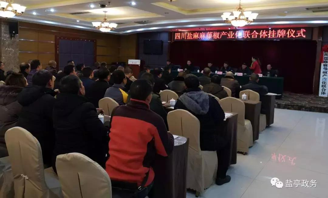 沃野千里风景图,山乡巨变之美不胜收