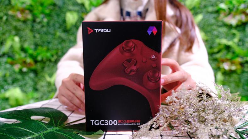 冷门手柄评测,游戏手柄测评推荐