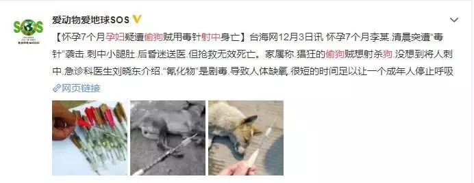 世界素食日和国际素食日,世界无肉日为什么不能吃肉