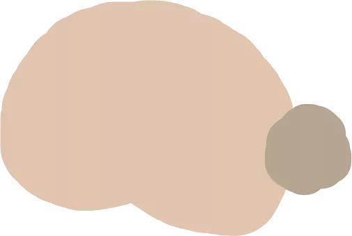 乡党委书记亲自为全乡农产品代言,村书记为家乡农产品代言