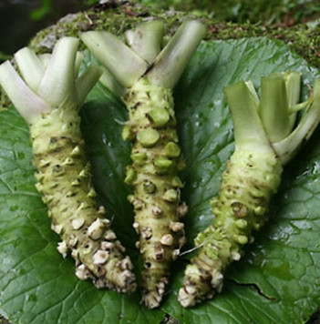 辣椒辣嘴蒜辣心,辣椒辣嘴又辣心