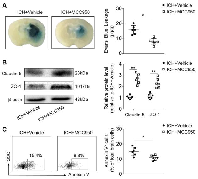nlrp3抑制剂研究进展,nlrp3抑制剂临床