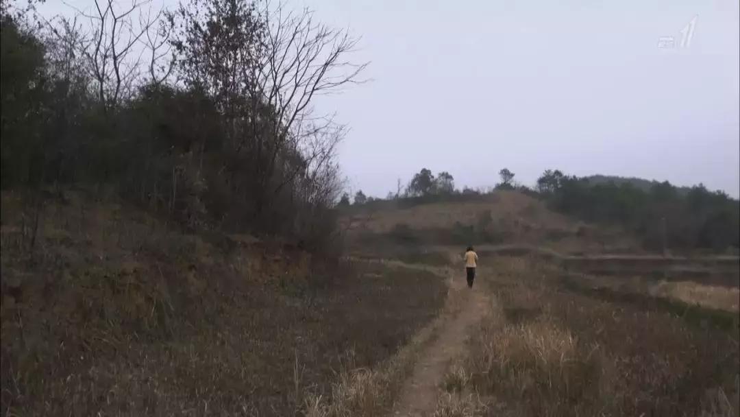 从留守儿童到三和大神,中国穷人为什么会陷入穷循环?