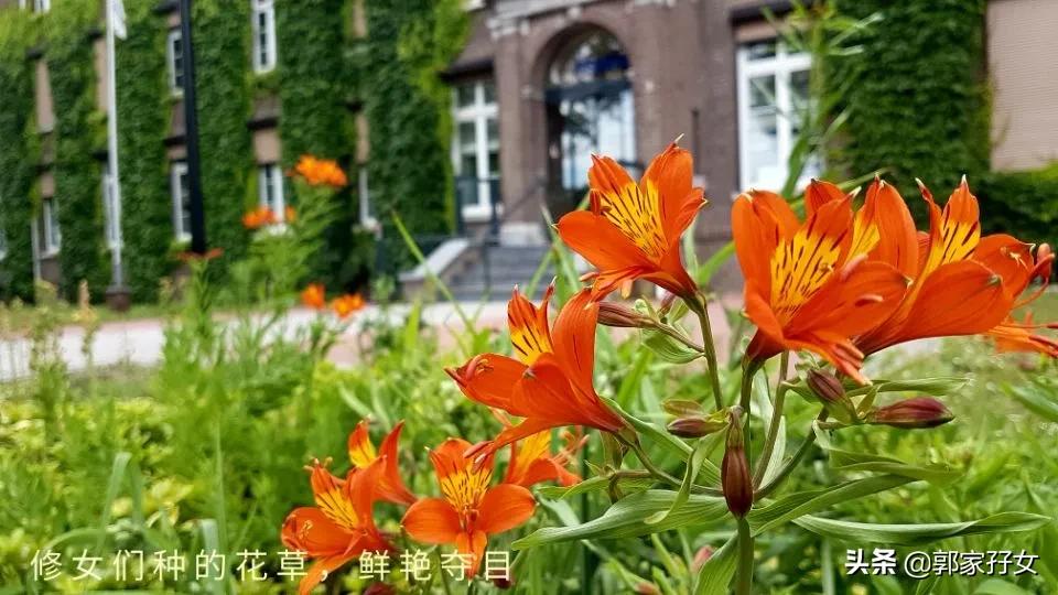 修女一般能活多久,修女的各种秘密