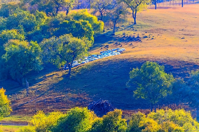 行摄美景,行摄塞外美景