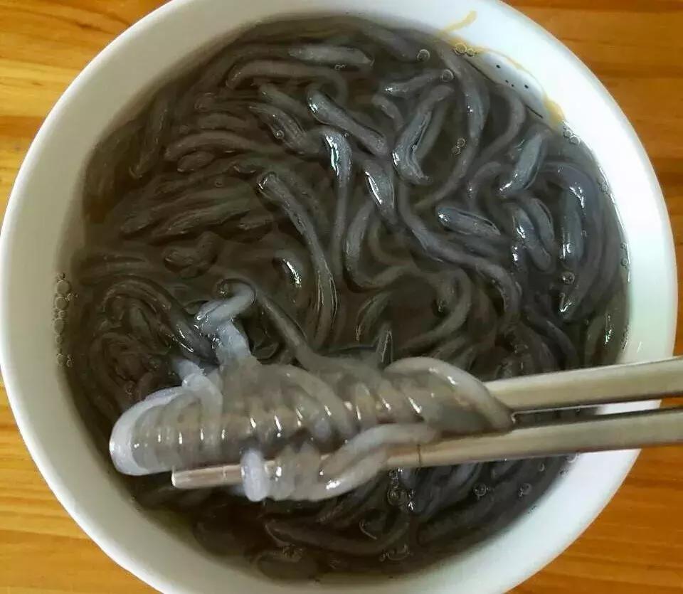 比顺德潮汕还生猛!广东这座小城又撩又骚,现在去正是好时机