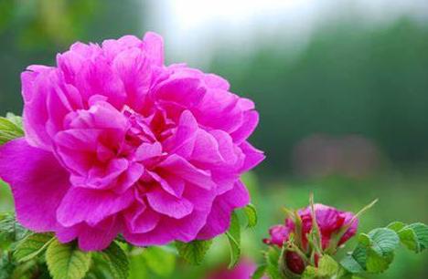 晚上游四方,游四方下联