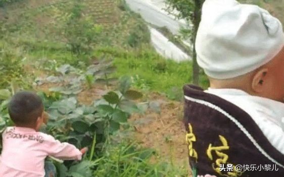 生二胎没人带大宝,生二胎没人带怎么解决